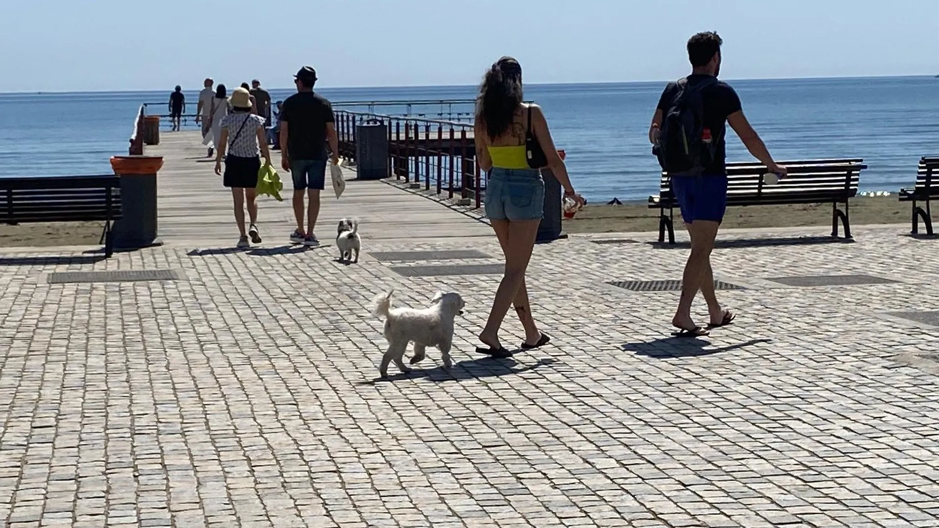 Mackenzie By The Sea Apartment Larnaca Cyprus