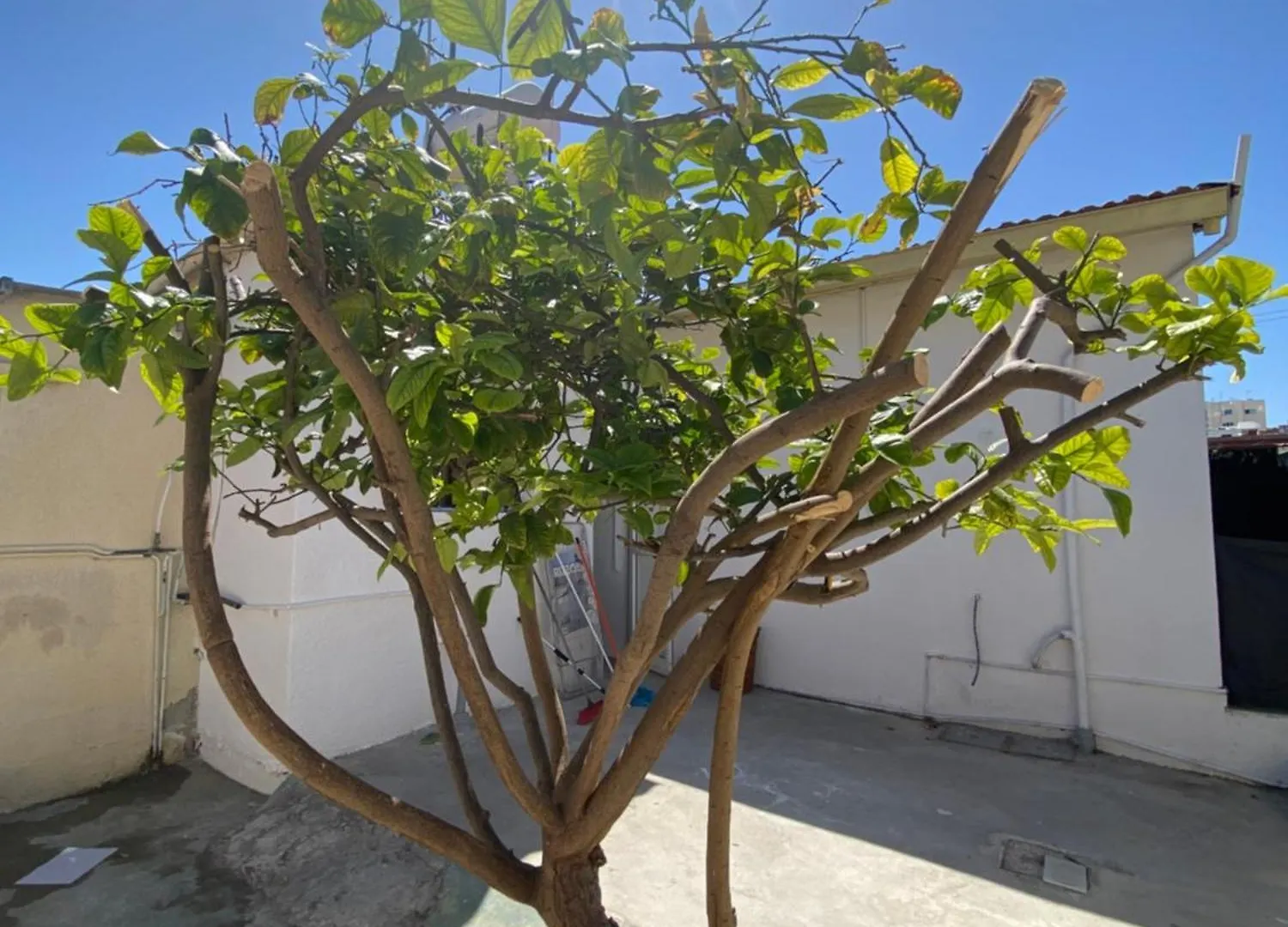 Mackenzie By The Sea Apartment Larnaca